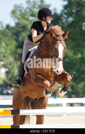 Un cavallo e cavaliere saltando da un recinto durante uno spettacolo di cavalli. Foto Stock