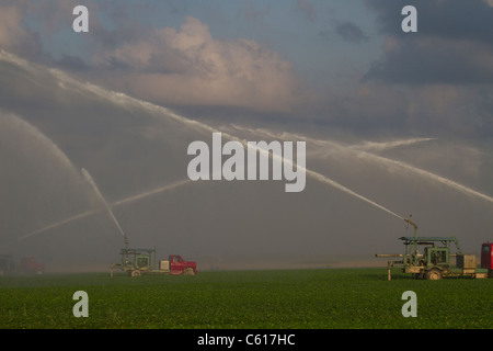 Canon di acqua utilizzato per l'irrigazione delle colture in Florida Foto Stock