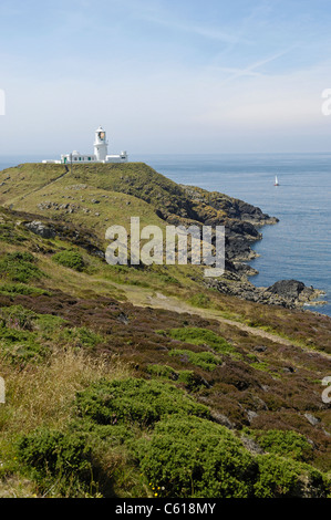 Strumble Head Lighthouse sorge su Ynys Meicel (St. Michael's Island), un'isola rocciosa sul nord Pembrokeshire Coast in Galles. Foto Stock