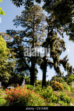 Palheiro Gardens Situato nel Palheiro Estate sull'isola di Madera. Foto Stock