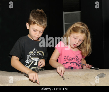 I bambini lo scavo per i fossili a un museo di storia naturale Foto Stock