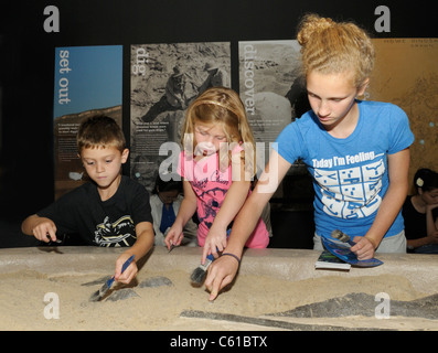 I bambini lo scavo per i fossili a un museo di storia naturale Foto Stock