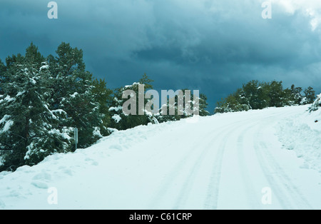 Pesante inverno tempesta di neve lungo la Sierra Ancha Wilderness Area e Parker Creek scogliere a nord del Lago di Roosevelt. Foto Stock