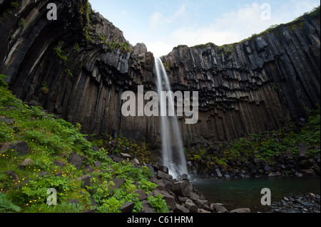 Cascata Svartifoss (nero cascata) in Skaftafell National Park, Islanda Foto Stock