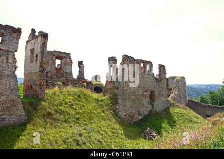 Rovine del Castello in Zviretice, Repubblica Ceca Foto Stock