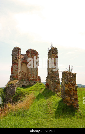 Rovine del Castello in Zviretice, Repubblica Ceca Foto Stock
