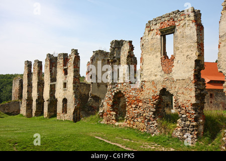 Rovine del Castello in Zviretice, Repubblica Ceca Foto Stock