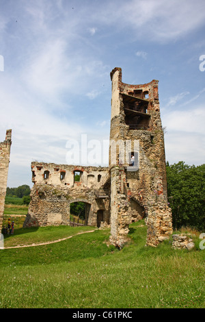 Rovine del Castello in Zviretice, Repubblica Ceca Foto Stock