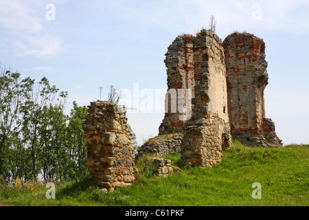 Rovine del Castello in Zviretice, Repubblica Ceca Foto Stock