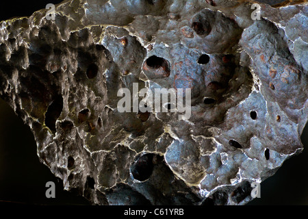 Holsinger Meteorite il frammento più grande mai trovato dal cratere di una meteora, Arizona, è il meteorite Holsinger, del peso di 639 kg Foto Stock