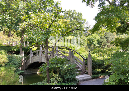 Giardino giapponese, Fort Worth, Texas, Stati Uniti d'America Foto Stock