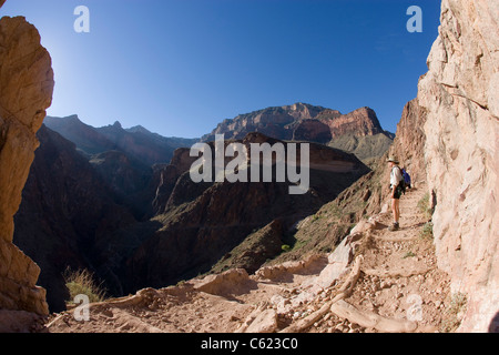 Angelo Sentiero luminoso, il Parco Nazionale del Grand Canyon, Arizona Foto Stock