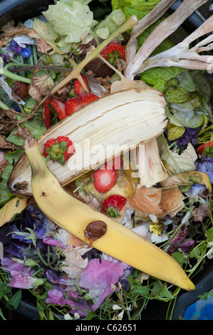 Frutta, fiori e piante rifiuti. Scarti da giardino in un bucket Pronto per andare sul mucchio di composto Foto Stock