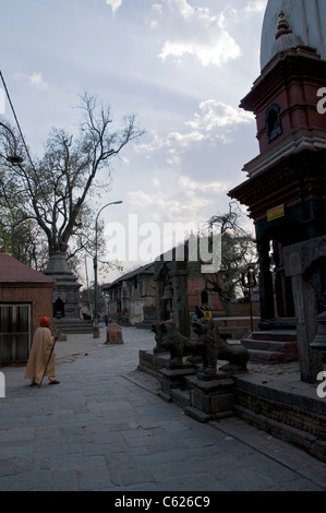 Il tempio indù di Pashupatinath a Kathmandu Foto Stock