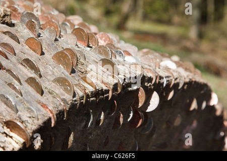 Inghilterra, Regno Unito. Money Tree con monete bloccato in tronco per buona fortuna Foto Stock