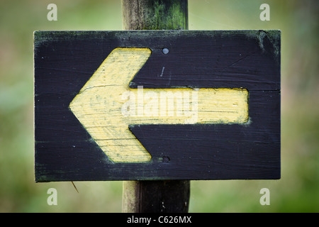 Giallo segno direzionale in foresta Foto Stock