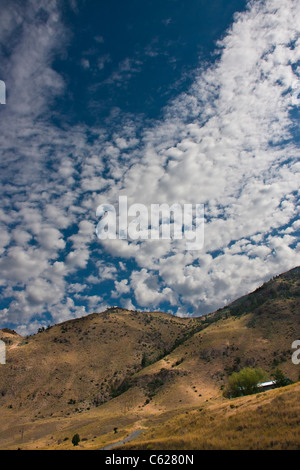 Formazioni di nubi in sviluppo di tempesta su Gallatin montagne e Gallatin National Forest nel sud-ovest Montana. Foto Stock