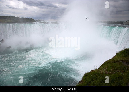 L'Horseshoe Falls Cascate del Niagara ontario canada Foto Stock