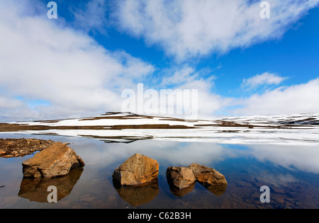Ghiaccio e riflessioni in un lago, Fiordi Orientali, Islanda Foto Stock