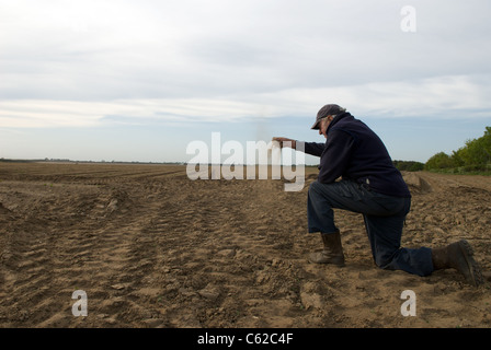 Agricoltore in colpite dalla siccità campo di colture, Suffolk, Regno Unito. Foto Stock