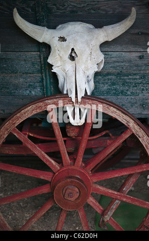 Storica città fantasma selvaggia del West degli anni '1880, nel South Dakota, vicino a Murdo, negli Stati Uniti, vecchia ruota in legno degli Stati Uniti e teschio di mucca formato veritcale ad alta risoluzione Foto Stock