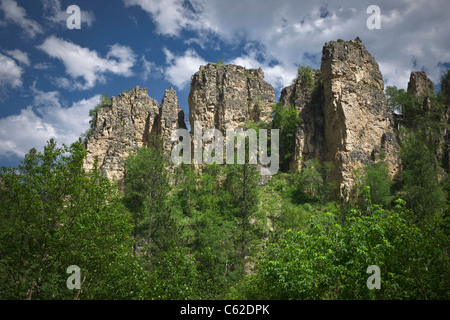 Le montagne coperte di pino e abete rosso dello Spearfish Canyon colorano la vista estiva delle Black Hills, South Dakota, negli Stati Uniti, con nuvole bianche ad alta risoluzione Foto Stock