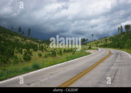 Custer State Park Black Hills South Dakota negli Stati Uniti splendido paesaggio con una strada vuota e un angolo basso primo piano su nessuno orizzontale ad alta risoluzione Foto Stock