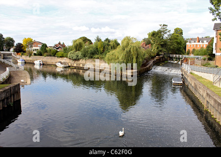 Fiume Ember unendo la Mole, Molesey Surrey in Inghilterra REGNO UNITO Foto Stock