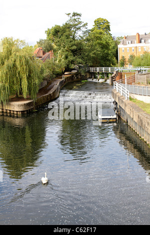 Fiume Ember unendo la Mole, Molesey Surrey in Inghilterra REGNO UNITO Foto Stock