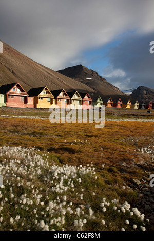 Immagine mostra Longyearbyen, il più grande insediamento dell arcipelago delle Svalbard, Norvegia. Foto:Jeff Gilbert Foto Stock
