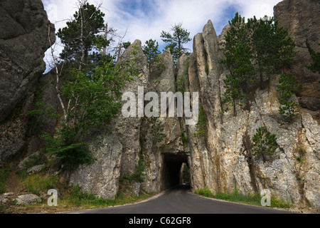 Black Hills nel South Dakota Stati Uniti d'America Needles Highway Custer State Park National Forest montagne rocciose splendido paesaggio orizzontale negli Stati Uniti ad alta risoluzione Foto Stock