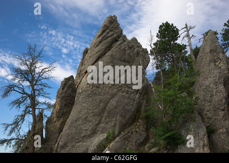 Black Hills nel South Dakota Stati Uniti d'America Needles Highway Custer State Park National Forest montagne panoramiche splendido paesaggio basso angolo orizzontale ad alta risoluzione Foto Stock