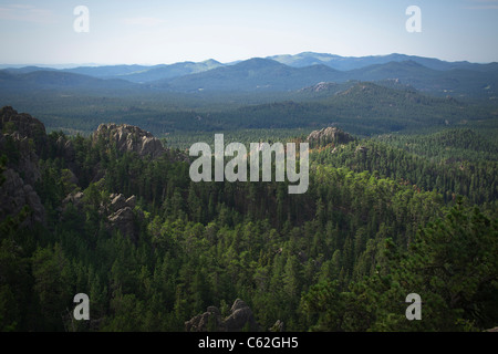 Le Black Hills South Dakota SD Needles Highway Custer State Park National Forest immagini immagini grandi ad alta risoluzione orizzontale negli Stati Uniti ad alta risoluzione Foto Stock