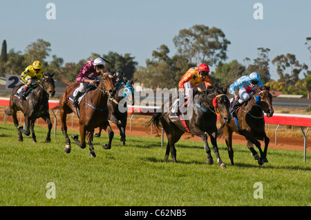 Le corse di cavalli in Kalgoorlie Western Australia al Kalgoorlie-Boulder Racing Club Foto Stock