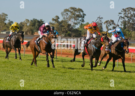 Le corse di cavalli in Kalgoorlie Western Australia al Kalgoorlie-Boulder Racing Club Foto Stock