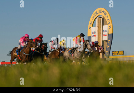 Le corse di cavalli in Kalgoorlie Western Australia al Kalgoorlie-Boulder Racing Club Foto Stock