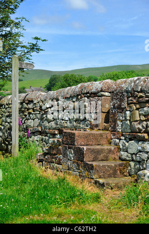 Fase di pietra di stile più asciutto-muro di pietra. Kirkland, Cumbria, England, Regno Unito, Europa. Foto Stock