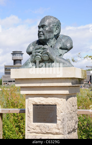 Scultura di Sir Peter Scott all'Wildfowl and Wetlands Trust Slimbridge Gloucestershire England Regno Unito GB Foto Stock