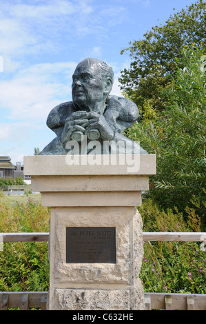 Scultura di Sir Peter Scott all'Wildfowl and Wetlands Trust Slimbridge Gloucestershire England Regno Unito GB Foto Stock