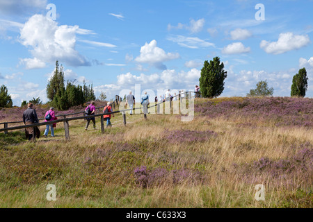 Montare Wilsede, Luneberg, Bassa Sassonia, Germania Foto Stock