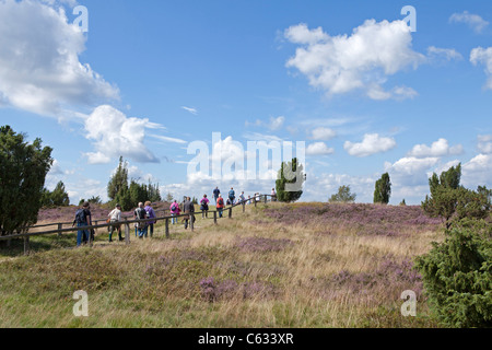 Montare Wilsede, Luneberg, Bassa Sassonia, Germania Foto Stock