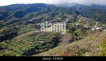Piantagioni di banane sulla costa di Bartolo, la Palma, Isole Canarie, Spagna, Europa Foto Stock