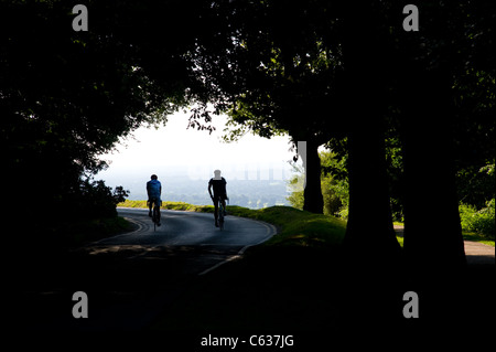 Il National Trust Box Hill a Dorking, Surrey. Surrey Hills. Manifestazione ciclistica del 2012 Olimpiadi di Londra Foto Stock