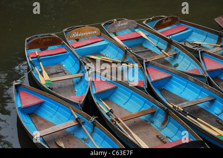 Noleggiare barche a remi Oxford Inghilterra Foto Stock