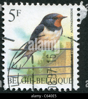 Belgio - 1992: un timbro stampato in Belgio, raffigura un uccello Barn Swallow (Hirundo rustica) Foto Stock