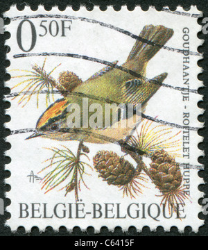 Belgio - 1991: un timbro stampato in Belgio, raffigura un uccello Goldcrest, (Regulus regulus) Foto Stock