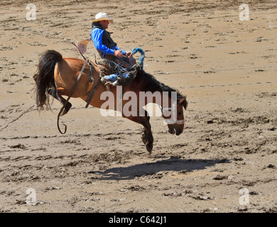 Saddle bronc riding evento a Calgary Stampede, Canada. Un cowboy compete in stock ruvida evento. Foto Stock