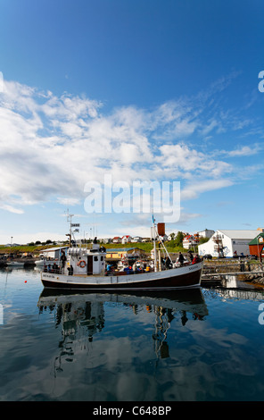 Il porto, Husavik, Islanda Foto Stock