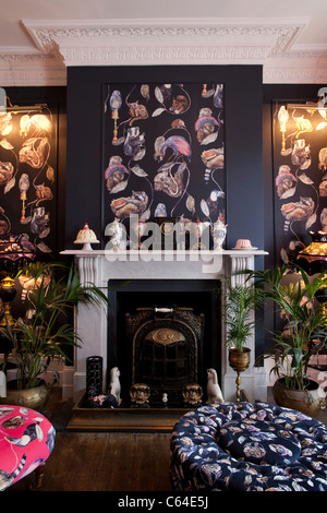 Casa di Hackney, British home articoli sanitari ed arredi ispirati da Javvy M Royle e Frieda Gormley, UK. Foto:Jeff Gilbert Foto Stock