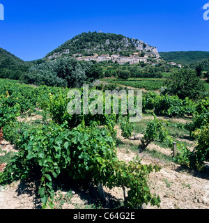 Vigneto e 'Séguret' appollaiato villaggio, Vaucluse Provence, Francia Foto Stock